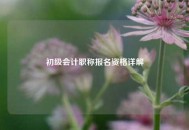 初级会计职称报名资格详解