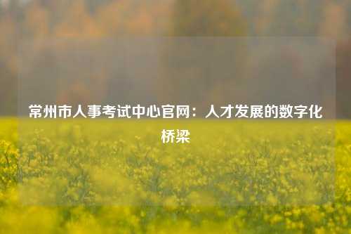 常州市人事考试中心官网:人才发展的数字化桥梁