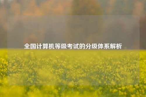 全国计算机等级考试的分级体系解析