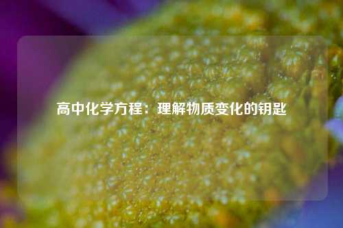 高中化学方程：理解物质变化的钥匙